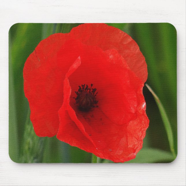Mousepad Papoila vermelha (Frente)