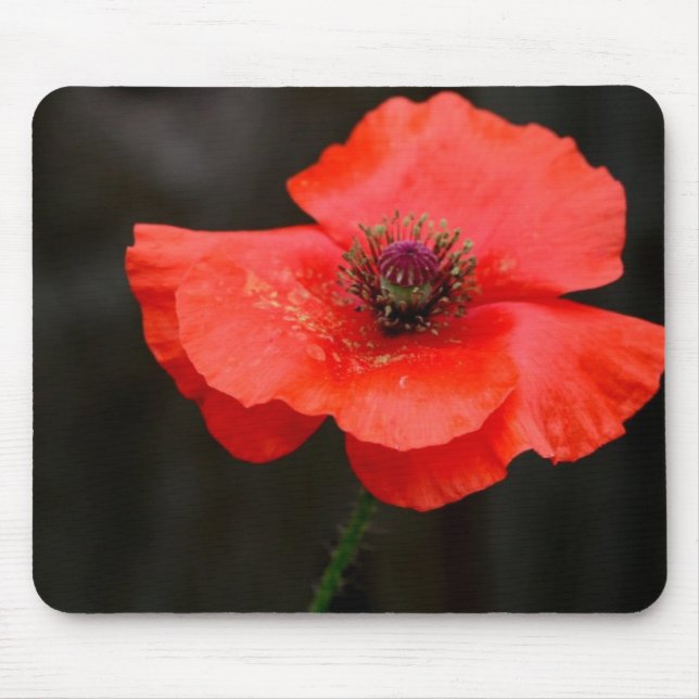 Mousepad Papoila vermelha brilhante (Frente)