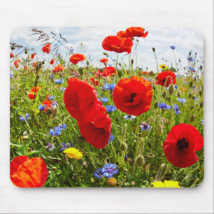 Mousepad Papoilas vermelhas