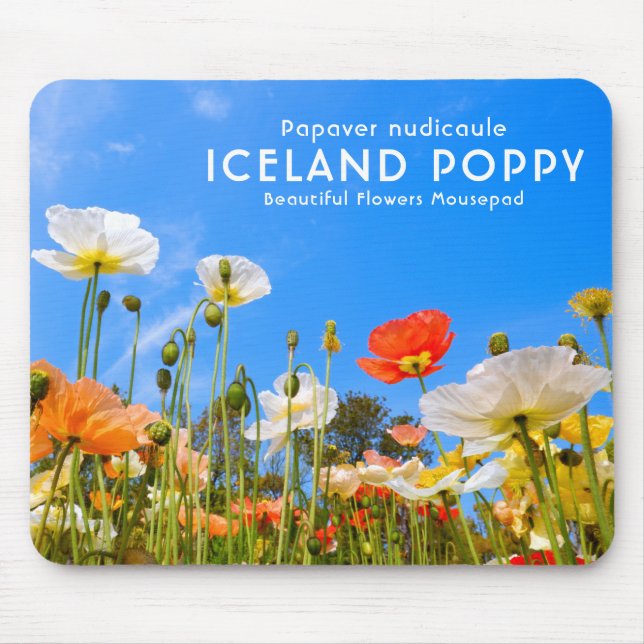 Mousepad Papoula da Islândia (Frente)