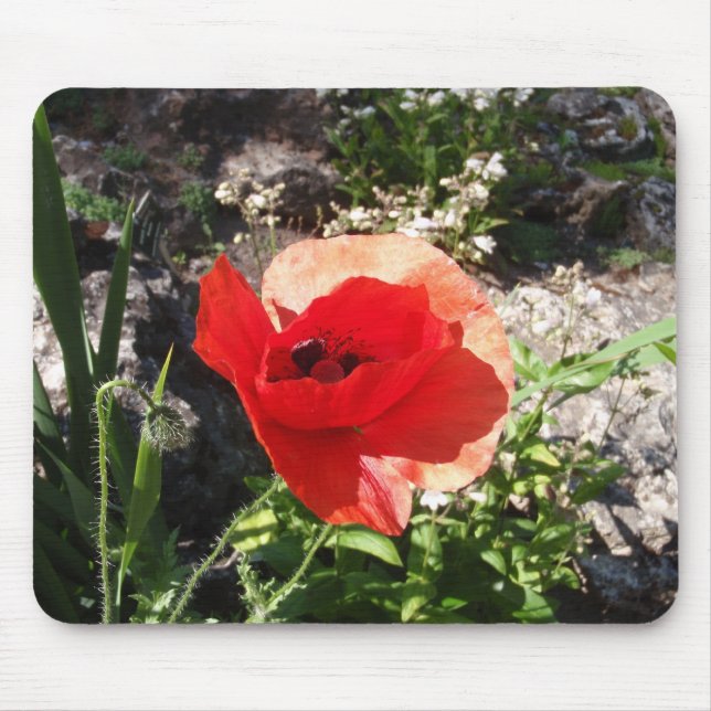 Mousepad Papoula Vermelha (Frente)