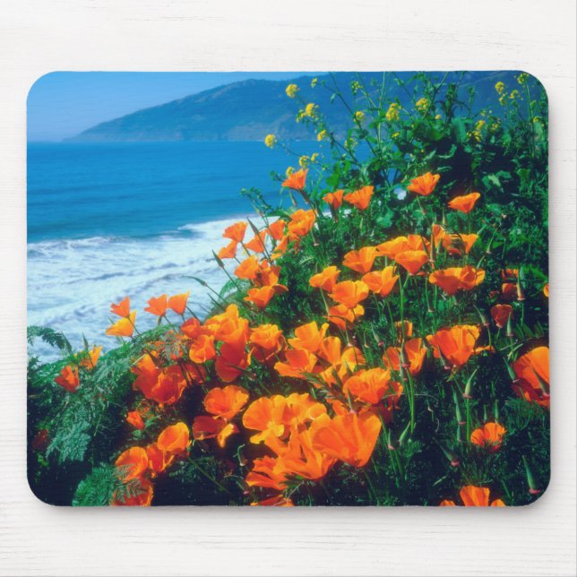 Mousepad Papoulas ao longo da Costa do Pacífico perto de Bi (Frente)