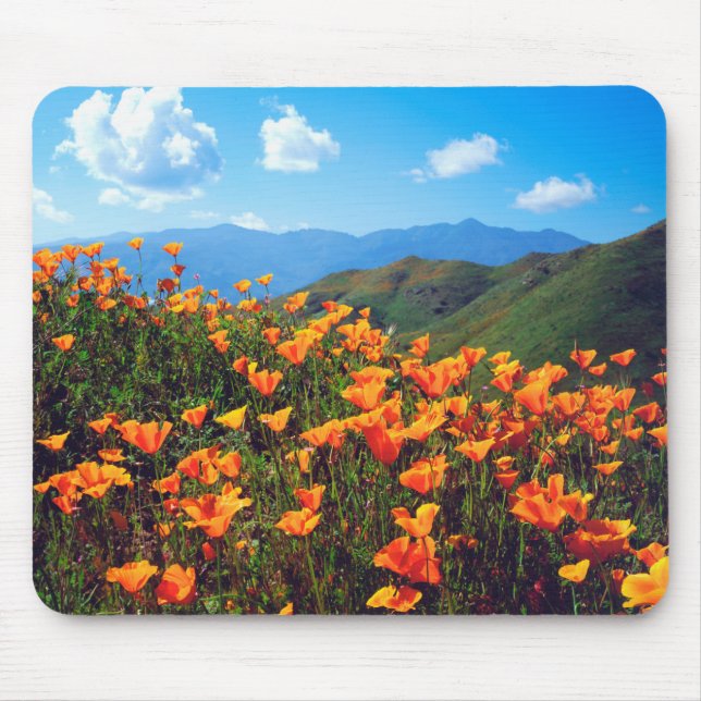 Mousepad Papoulas da Califórnia Cobrindo uma Encosta (Frente)