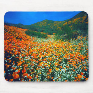 Mousepad Papoulas da Califórnia e flores silvestres de pipo