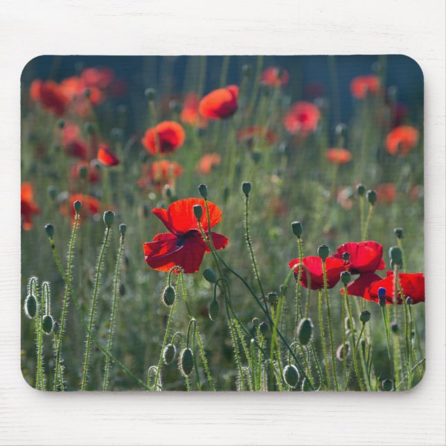 Mousepad Papoulas num Campo (Frente)