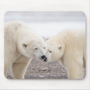 Mousepad Par bonito de ursos polares adoráveis