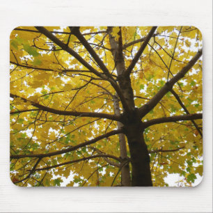 Mousepad Par de Árvores de Bordo Amarelas Natureza de Outon