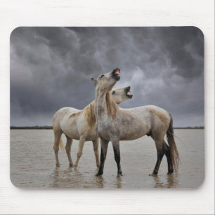 Mousepad Par de Camargue Horse Stallions, sul da França