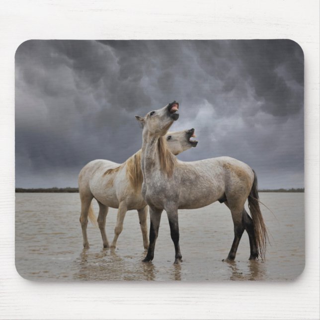 Mousepad Par de Camargue Horse Stallions, sul da França (Frente)