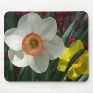 Mousepad Par de Daffodils Flores Rosa e Amarelo
