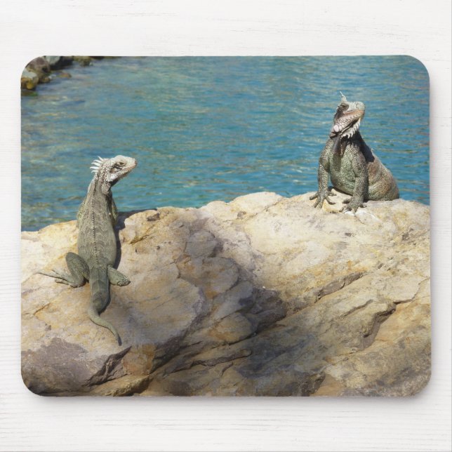 Mousepad Par de Fotografia Tropical de Iguanas (Frente)