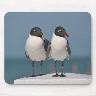Mousepad Par de gaiolas de cabeça preta