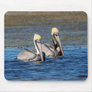 Mousepad Par de Pelicanos