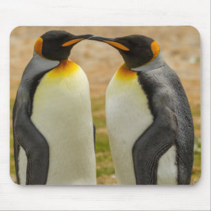Mousepad Par de pinguins-imperadores, Ilhas Falkland