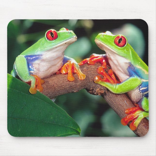 Mousepad Par de Rãs-Arvore de Olhos Vermelhos, Agalychinis  (Frente)
