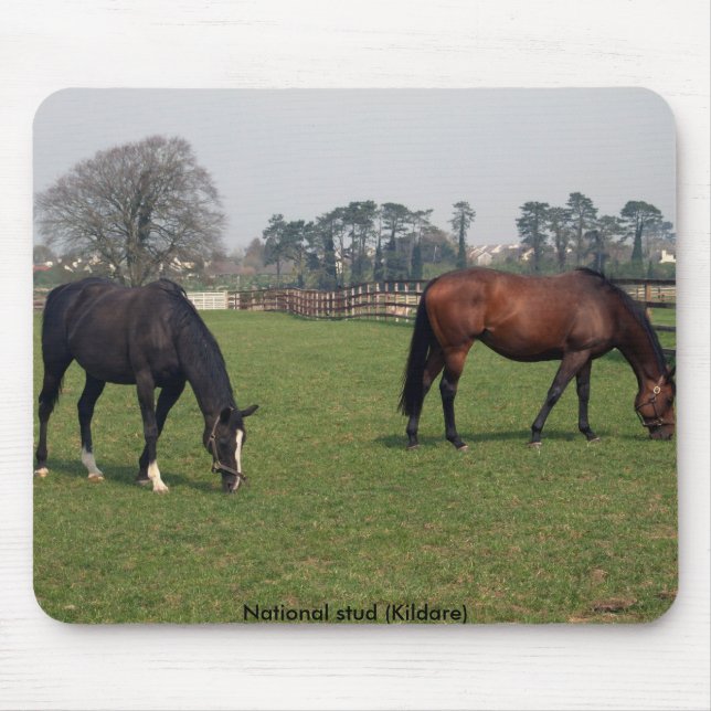 Mousepad Parafuso prisioneiro nacional (Frente)