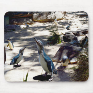 Mousepad Paraíso do Pinguim Fada,