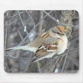 Mousepad Pardal Comum B24