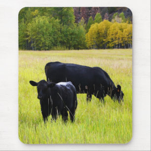 Mousepad Pares pretos de Angus no campo