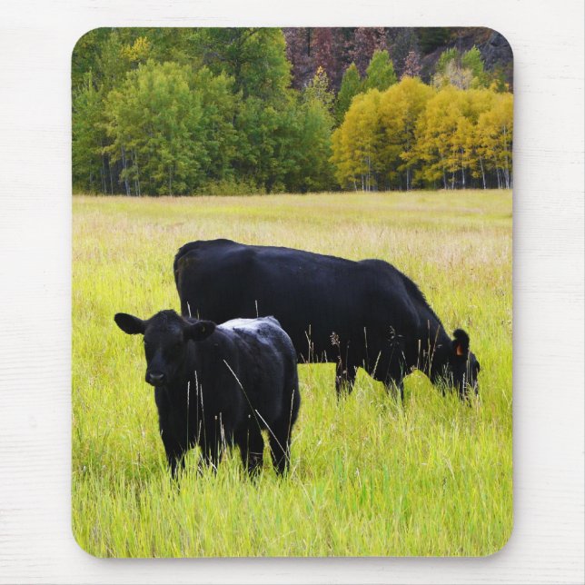 Mousepad Pares pretos de Angus no campo (Frente)