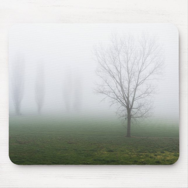 Mousepad Parque coberto de neblina espessa (Frente)