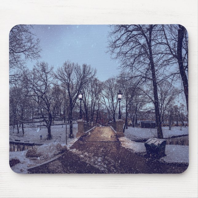 Mousepad Parque da cidade de neve de inverno à noite (Frente)