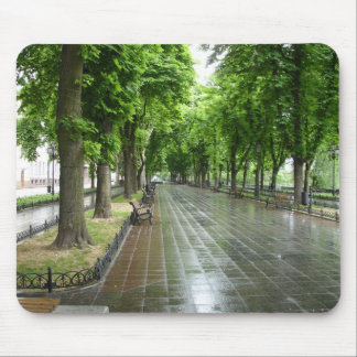 Mousepad Parque de Odessa (3)