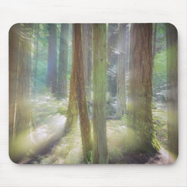Mousepad Parque Estadual da Praia Cênica (Frente)