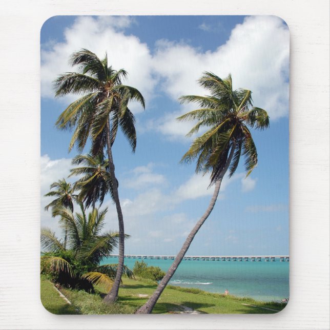 Mousepad Parque estadual de Baía Honda e ponte de sete (Frente)