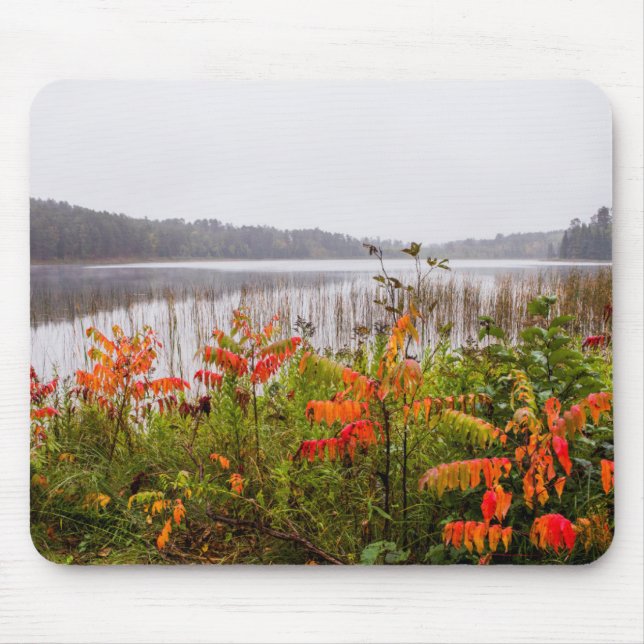 Mousepad Parque Estadual de Itasca | Minnesota (Frente)