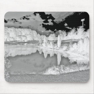 Mousepad parque. lago. negativo. preto e branco.