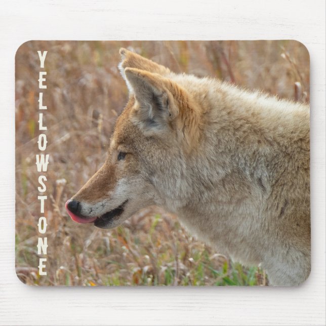 Mousepad Parque Nacional Coyote Lamar Valley Yellowstone (Frente)