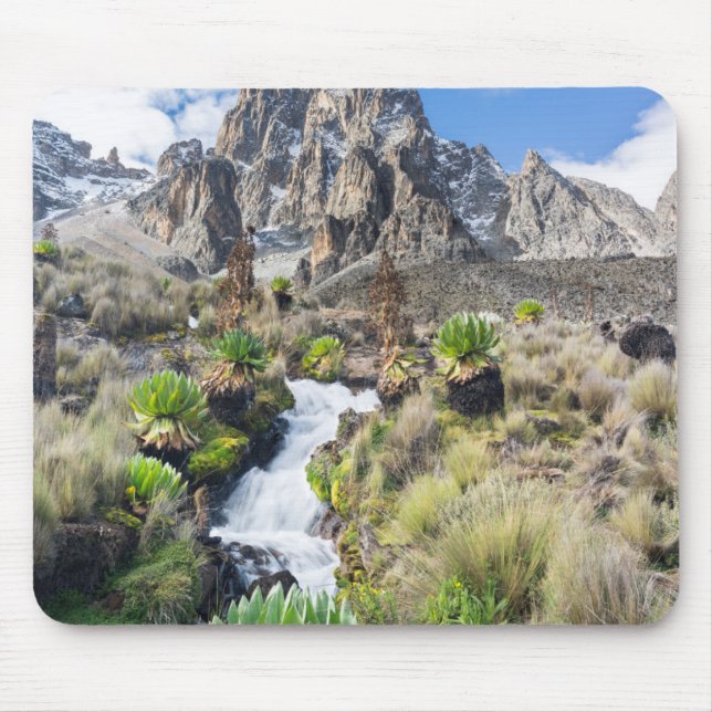 Mousepad Parque Nacional da Montanha Central do Quênia (Frente)