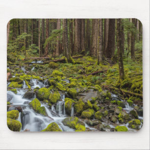 Mousepad Parque Nacional da olimpiadas, Estado de Washingto