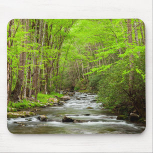 Mousepad Parque Nacional das Grandes Montanhas Fumosas Caro
