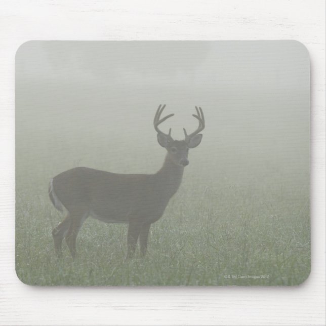 Mousepad Parque Nacional das Montanhas do Enfumaçado excele (Frente)