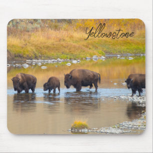 Mousepad Parque Nacional de Bison River Crussing Yellowston
