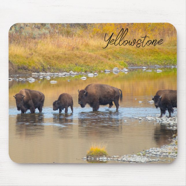 Mousepad Parque Nacional de Bison River Crussing Yellowston (Frente)
