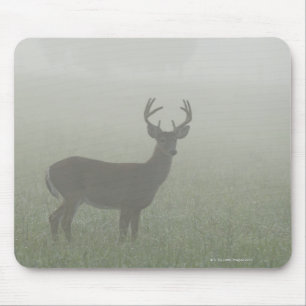 Mousepad Parque nacional de Great Smoky Mountains,
