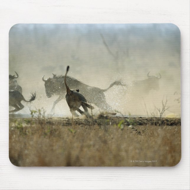 Mousepad Parque Nacional de Kruger, Província de Mbomalanga (Frente)
