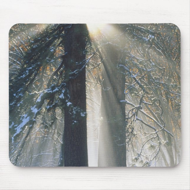 Mousepad Parque Nacional de Yosemite - Raios de sol fluindo (Frente)