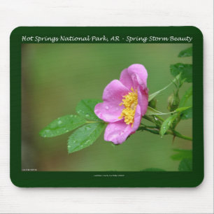 Mousepad Parque Nacional dos Primaveras Quentes, Presentes