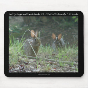 Mousepad Parque Nacional dos Quentes Primaveras, Presentes 