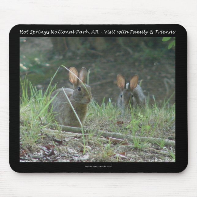 Mousepad Parque Nacional dos Quentes Primaveras, Presentes  (Frente)