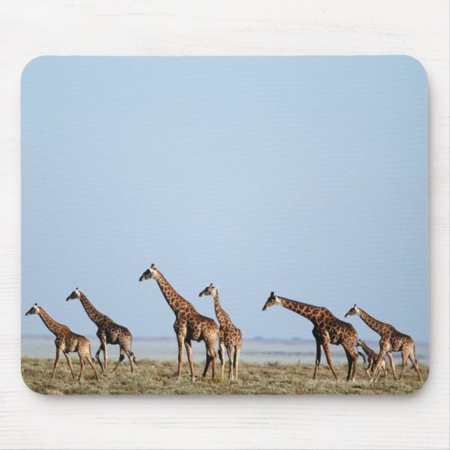 Mousepad Parque Nacional Etosha, Namíbia 2 (Frente)