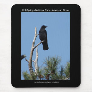 Mousepad Parque Nacional Hots Primavera, AR - Corvo America