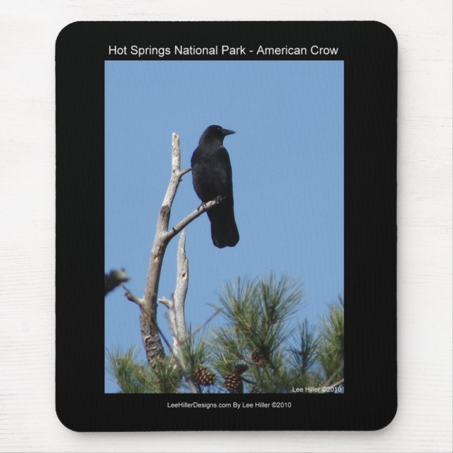 Mousepad Parque Nacional Hots Primavera, AR - Corvo America (Frente)