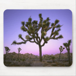 MOUSEPAD PARQUE NACIONAL JOSHUA TREE, CALIFÓRNIA. EUA.