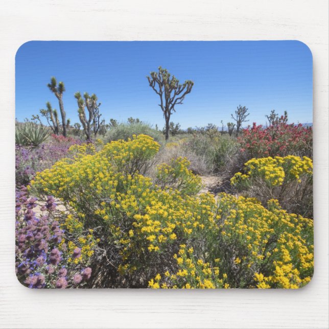 Mousepad Parque Nacional Joshua Tree Em Bloom (Frente)
