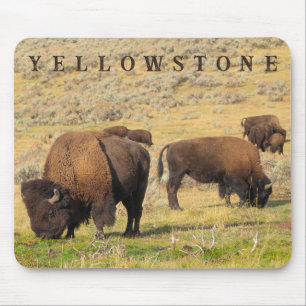 Mousepad Parque Nacional Lamar Valley Bison Yellowstone